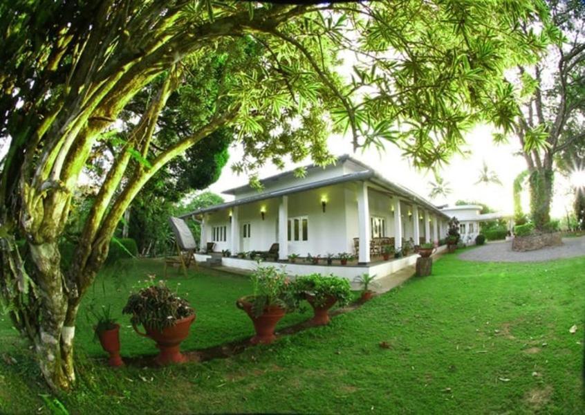 Parisons Plantation Experiences By Abad Hotell Mananthavady Eksteriør bilde
