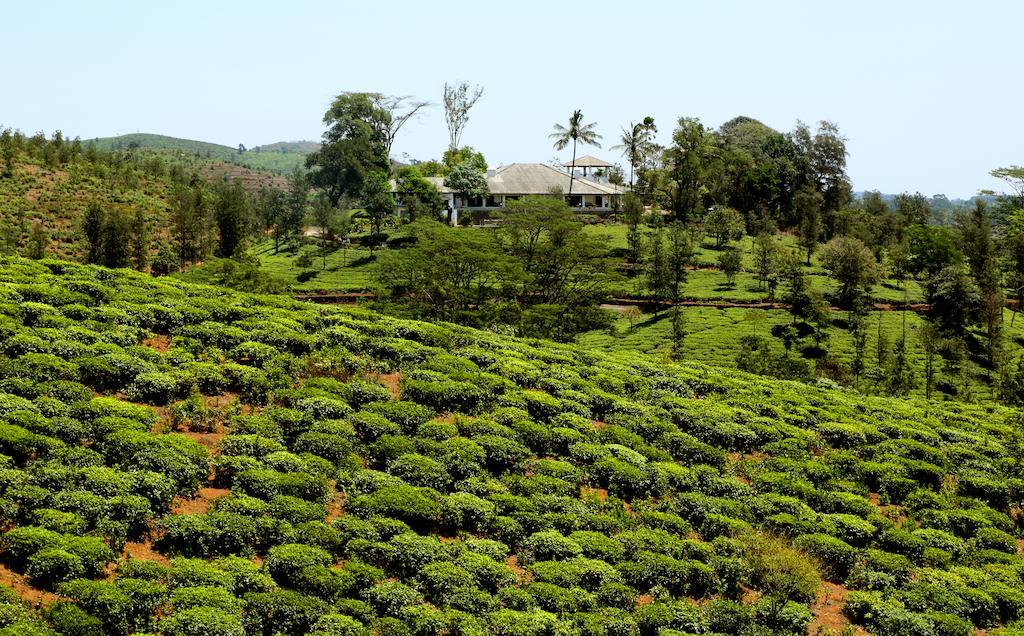 Parisons Plantation Experiences By Abad Hotell Mananthavady Eksteriør bilde