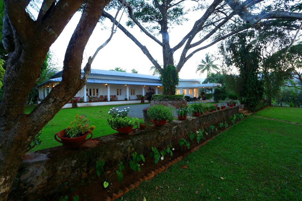 Parisons Plantation Experiences By Abad Hotell Mananthavady Rom bilde