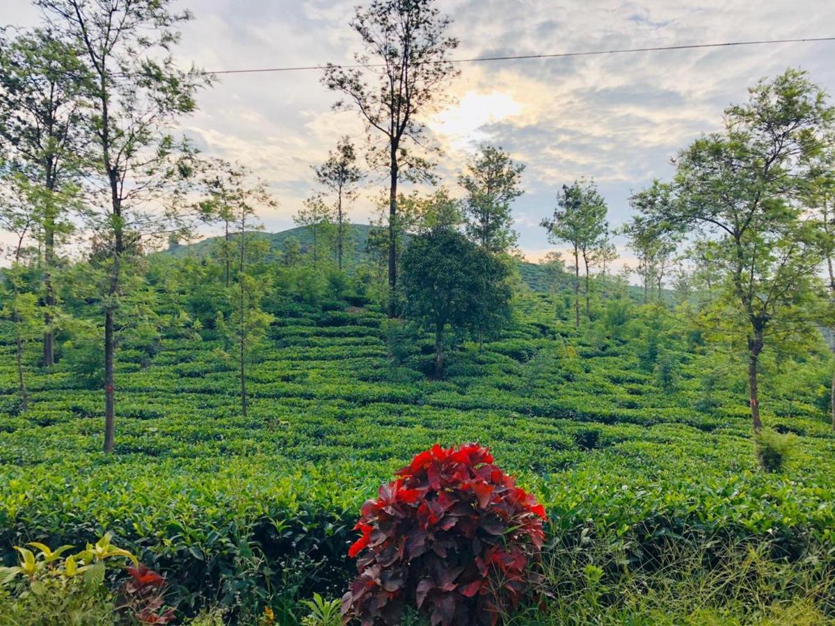 Parisons Plantation Experiences By Abad Hotell Mananthavady Eksteriør bilde